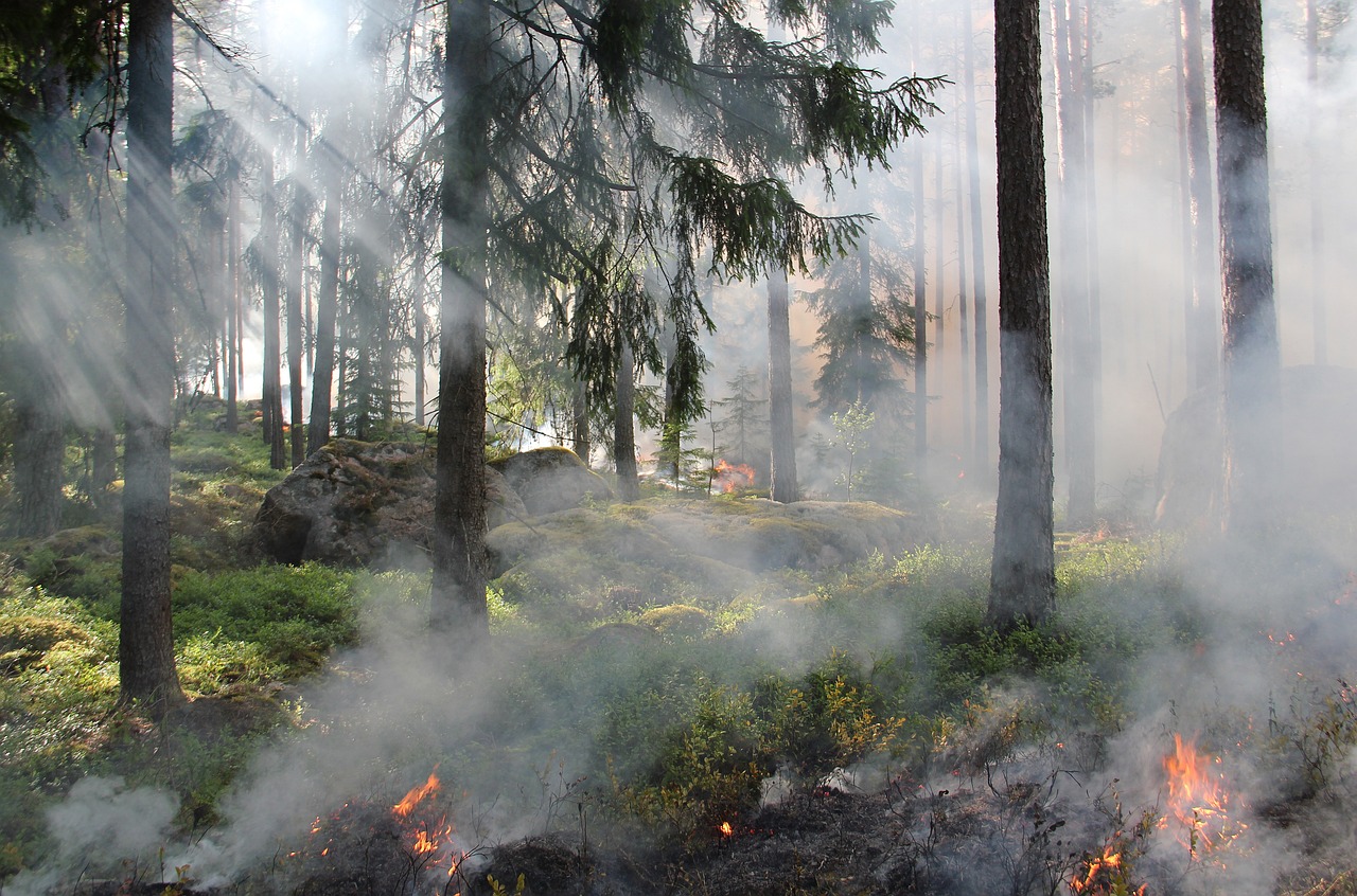 The Importance of Water Conservation